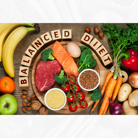 The Balanced Diet Quest: Nourishing Your Little One to Greatness