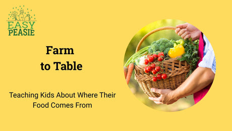 Farm to Table: Teaching Kids About Where Their Food Comes From