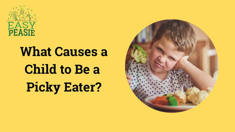 What Causes a Child to Be a Picky Eater?