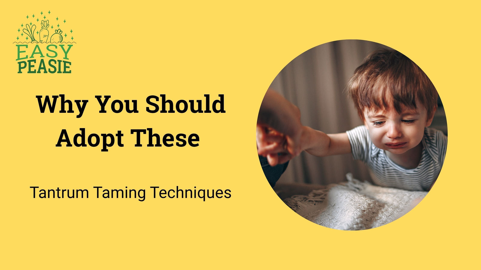 Why You Should Adopt These Tantrum Taming Techniques