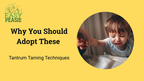 Why You Should Adopt These Tantrum Taming Techniques