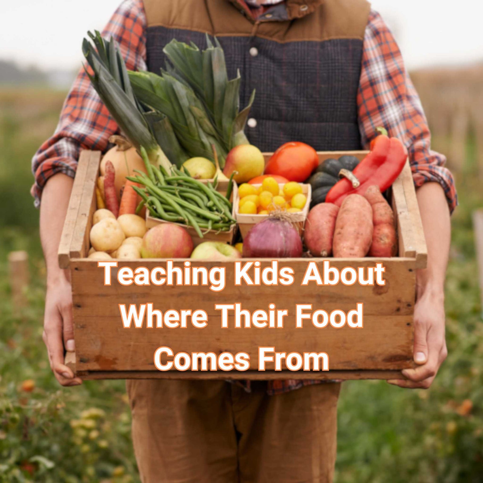 Farm to Table: Teaching Kids About Where Their Food Comes From