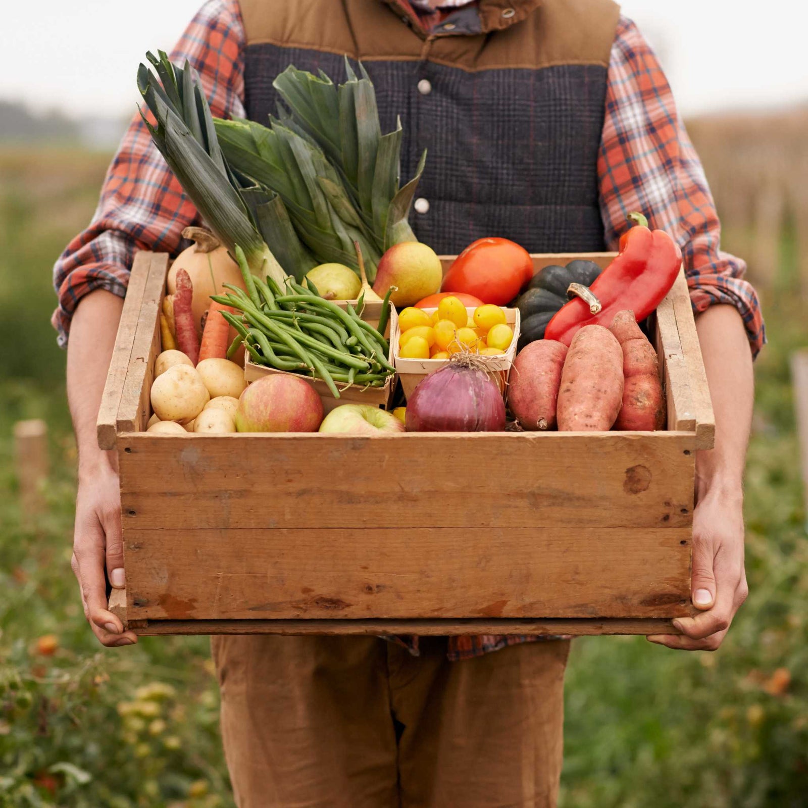 Teaching Kids About Food Sources: Farm to Table