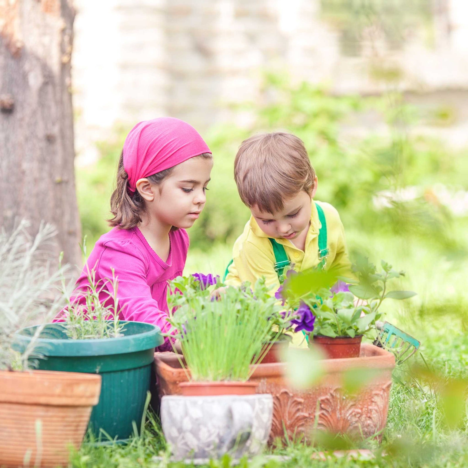 kids gardening