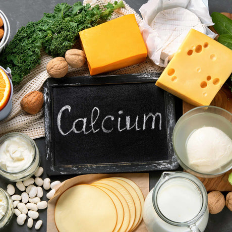 Nutritional Focus: The Importance of Calcium for Growing Bones