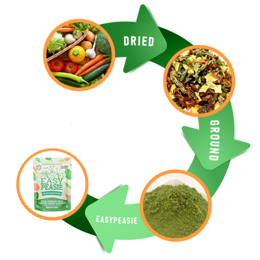 graphic showing how Easy Peasie veggie powder blends are made: dried, ground vegetables